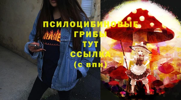 экстази Богородицк