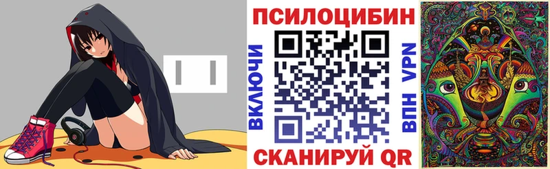 Псилоцибиновые грибы Psilocybe  Донецк 